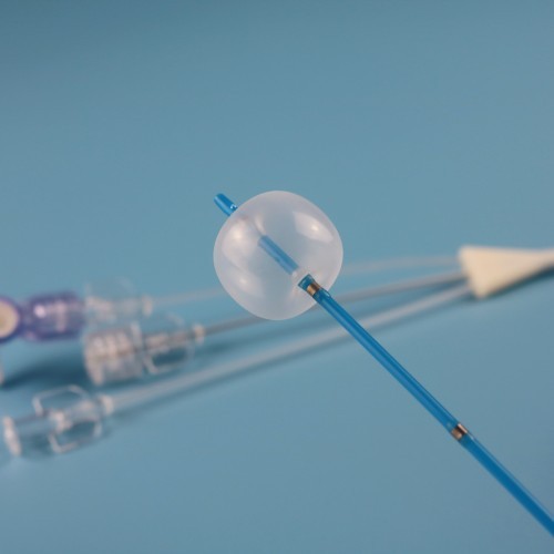 Stone Extraction Balloon 3 -Jiangsu Changmei Medtech Co., Ltd.