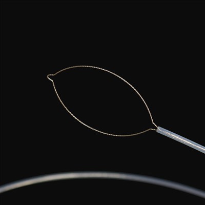 Kakebeen tipe vreemde liggaamspinste