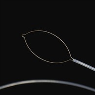 Prong tipe vreemde liggaamspinste